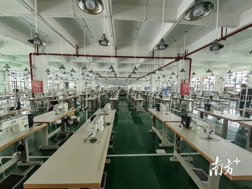 廣東AI賦能產(chǎn)業(yè)升級(jí) 以科技信息咨詢服務(wù)引爆融合新優(yōu)勢